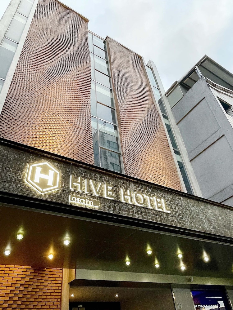 Check inn Hive 2/73