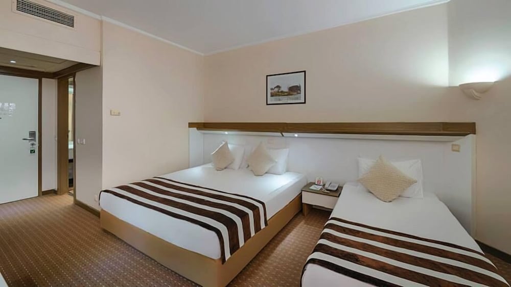 Green Max Hotel 25/65