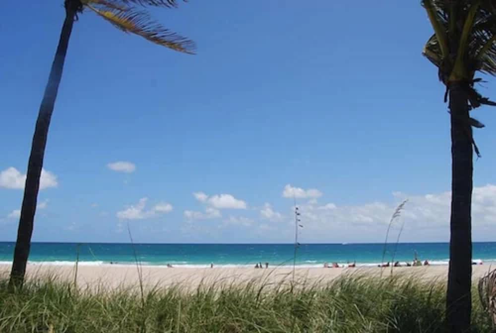Best Florida Resort 51/66