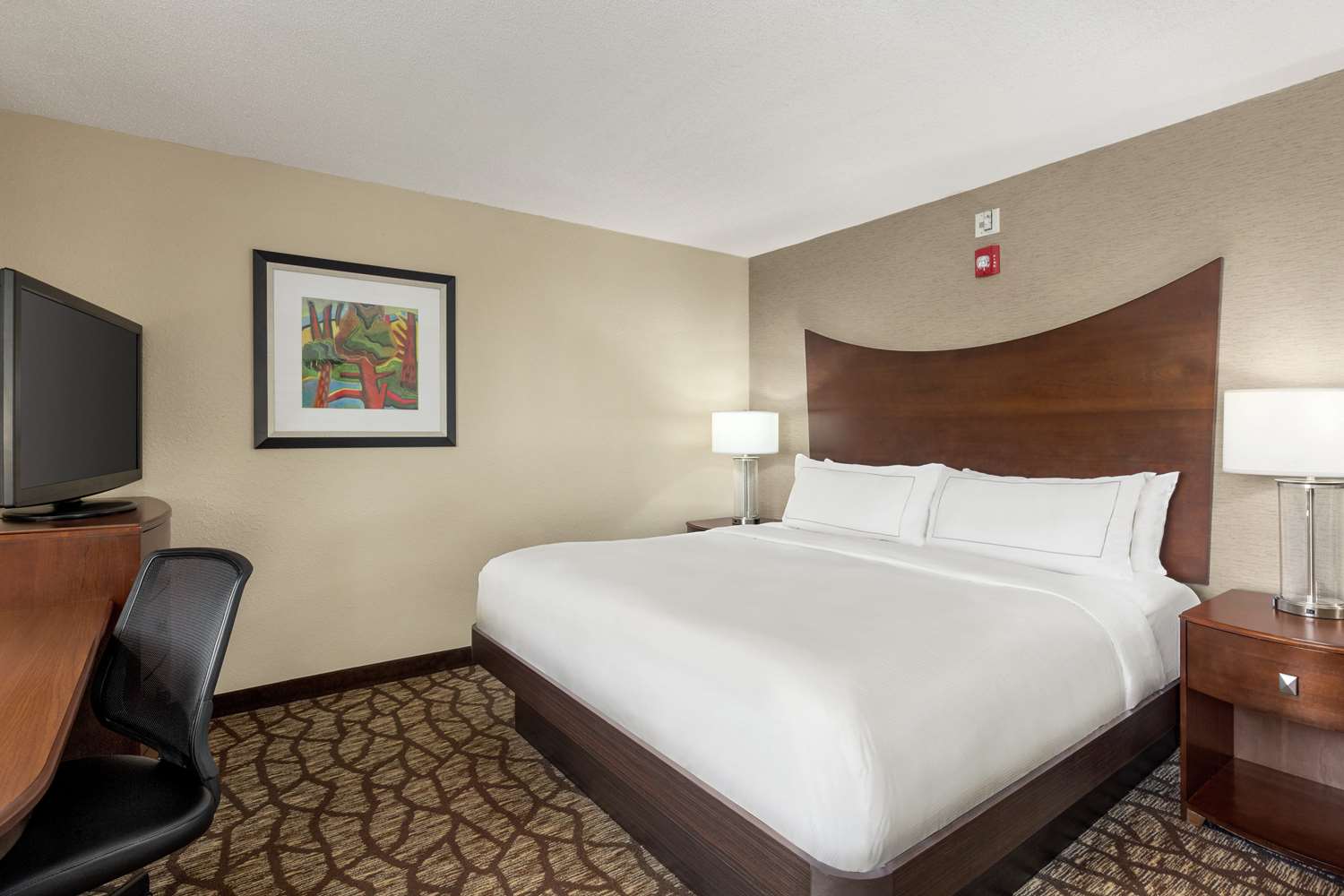 غرفة بسرير كينج بحوض استحمام لذوي الإعاقة، Doubletree By Hilton Hotel Jackson 4/7