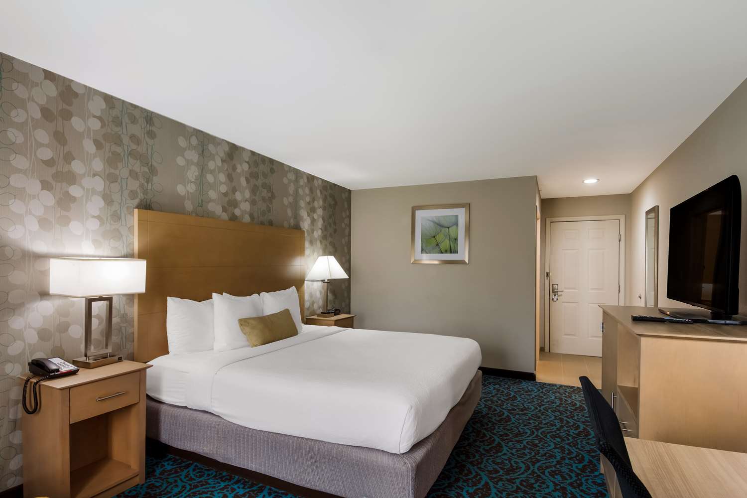 Room, King Bed, Accessible