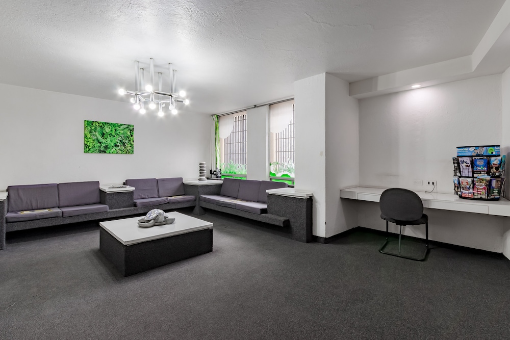 OYO Hotel Hidalgo 18/23