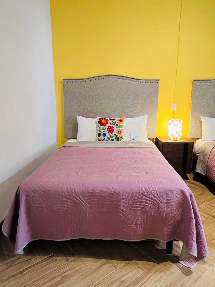 Hotel Universidad 23/50