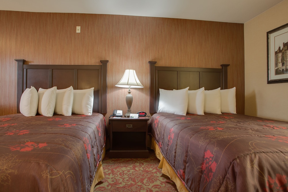 Castle Inn And Suites 12/38