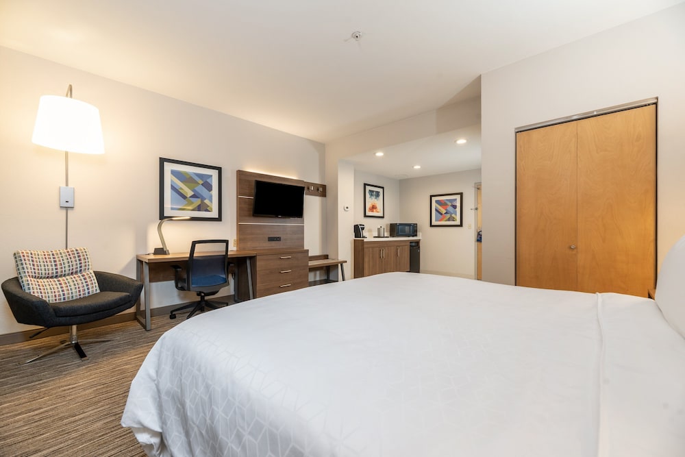 Holiday Inn Express Hotel And Suites Fremont Milpitas Central 18/69