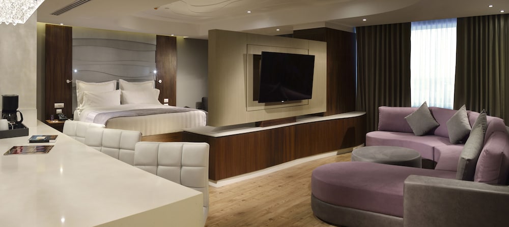 HS HOTSSON Hotel Silao 38/58