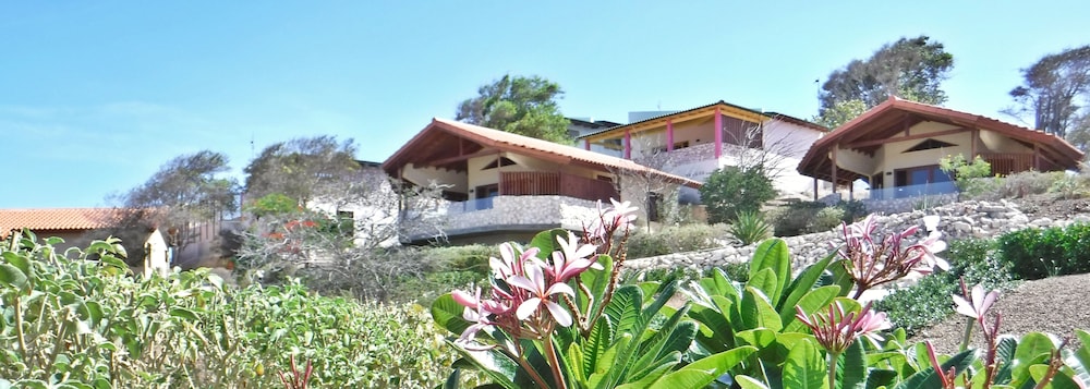 The Natural Curacao 55/61