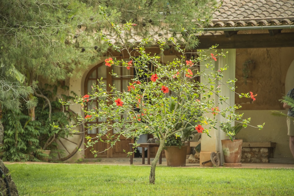 Son Mercadal 53/55