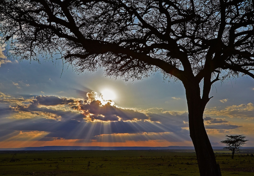 OLARE MARA KEMPINSKI MASAI MARA 46/50