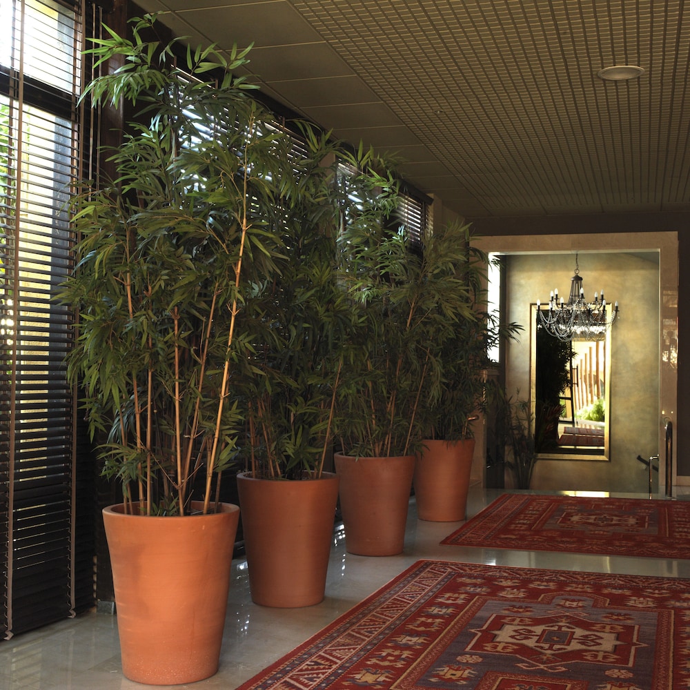 Luna Club Yoga & Spa Hotel 54/66