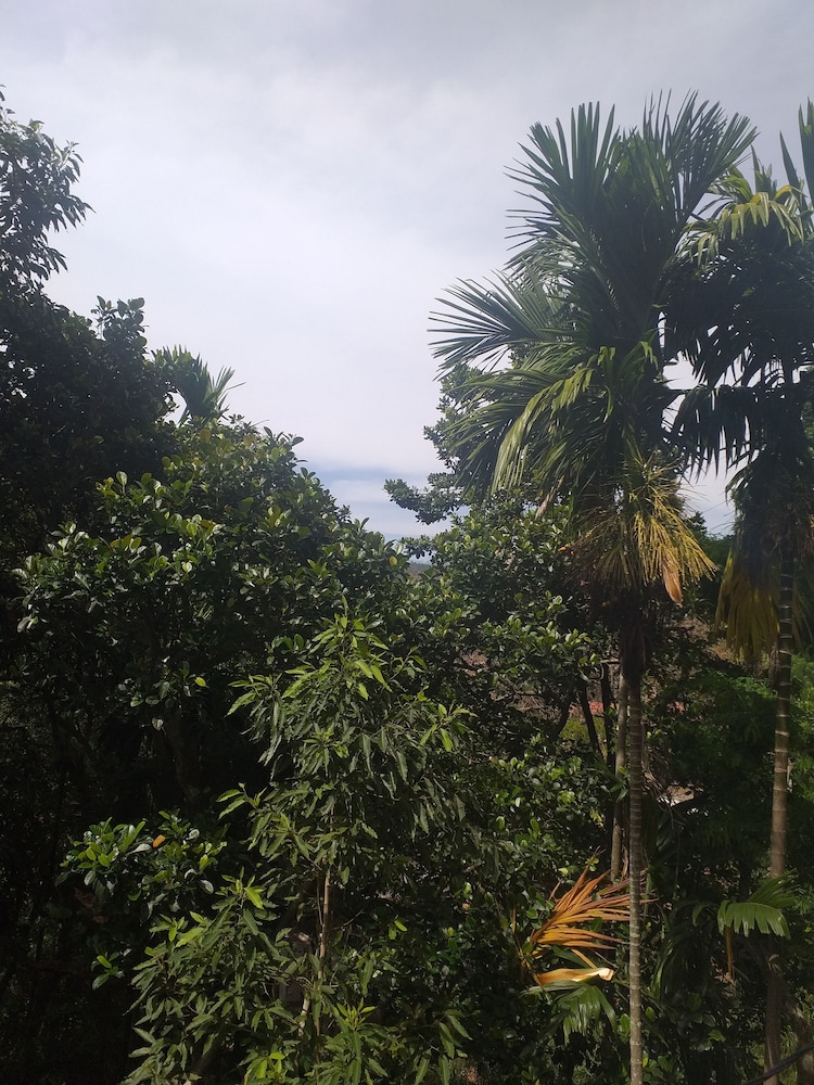 Nature Paradise Home Stay 35/50