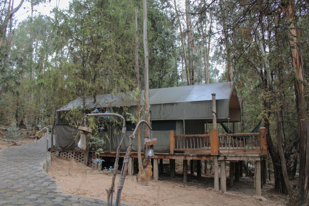 Kuriftu Entoto Adventure Park photo3