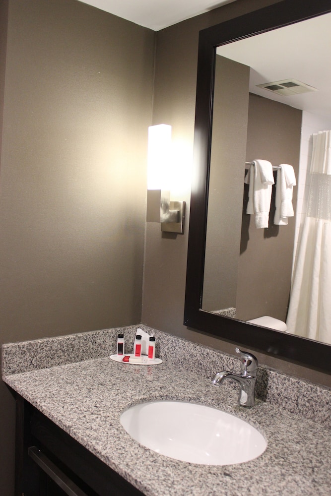 Ramada Plaza By Wyndham Niagara Falls 29/79