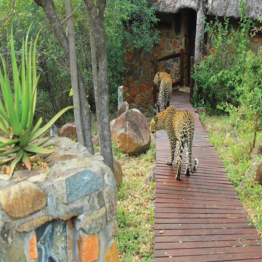 Leopard Hills 32/37