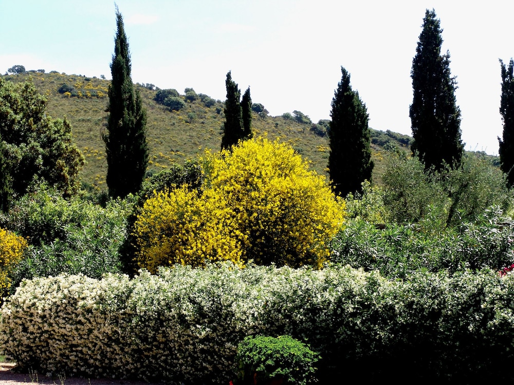 Agriturismo Fattoria Il Casalone 24/40