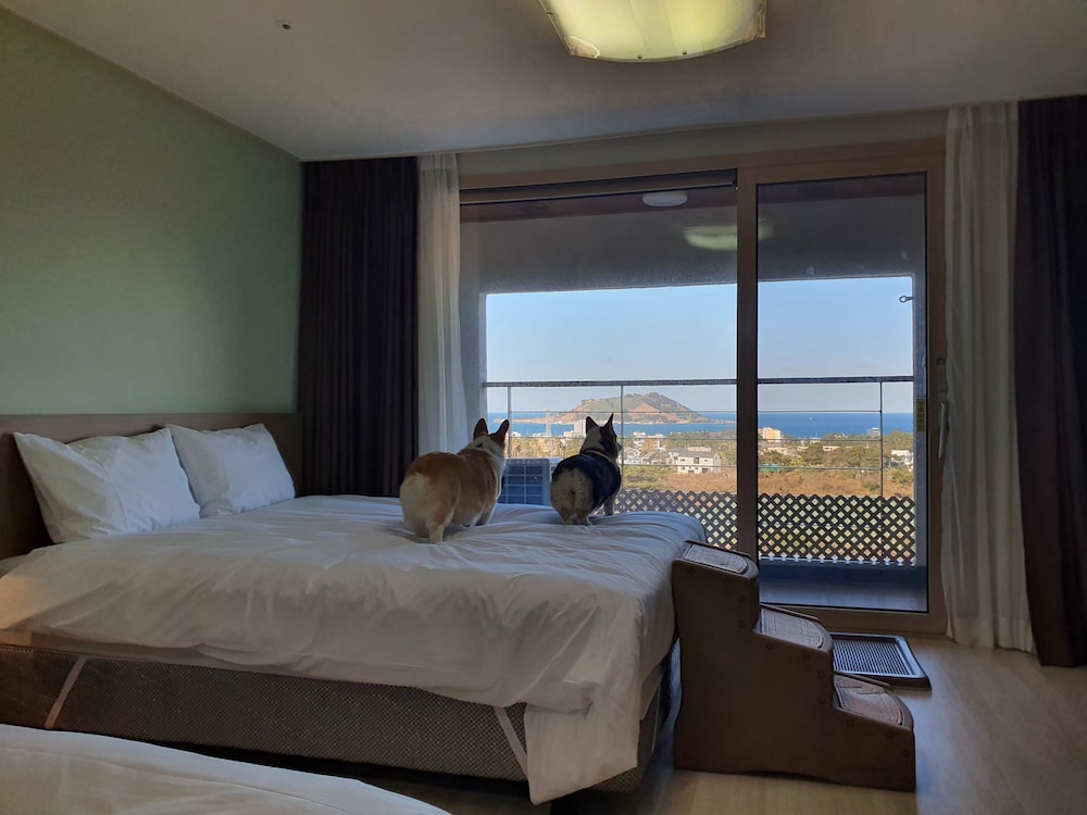 DELUXE ROOM PET FRIENDLY