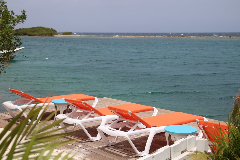 Coral Reef Beach Aruba 35/50