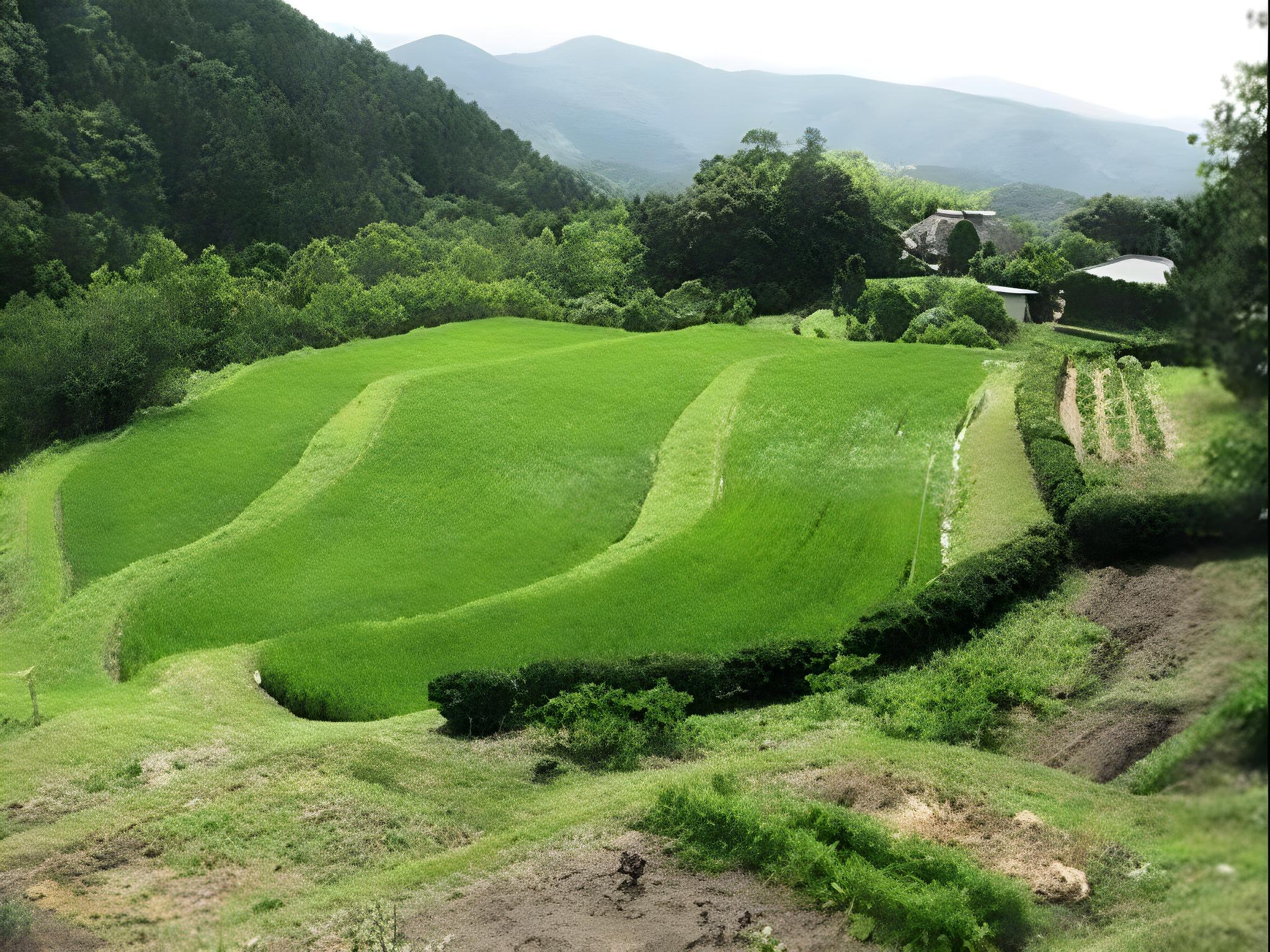 YAGYU NO SHO 28/47