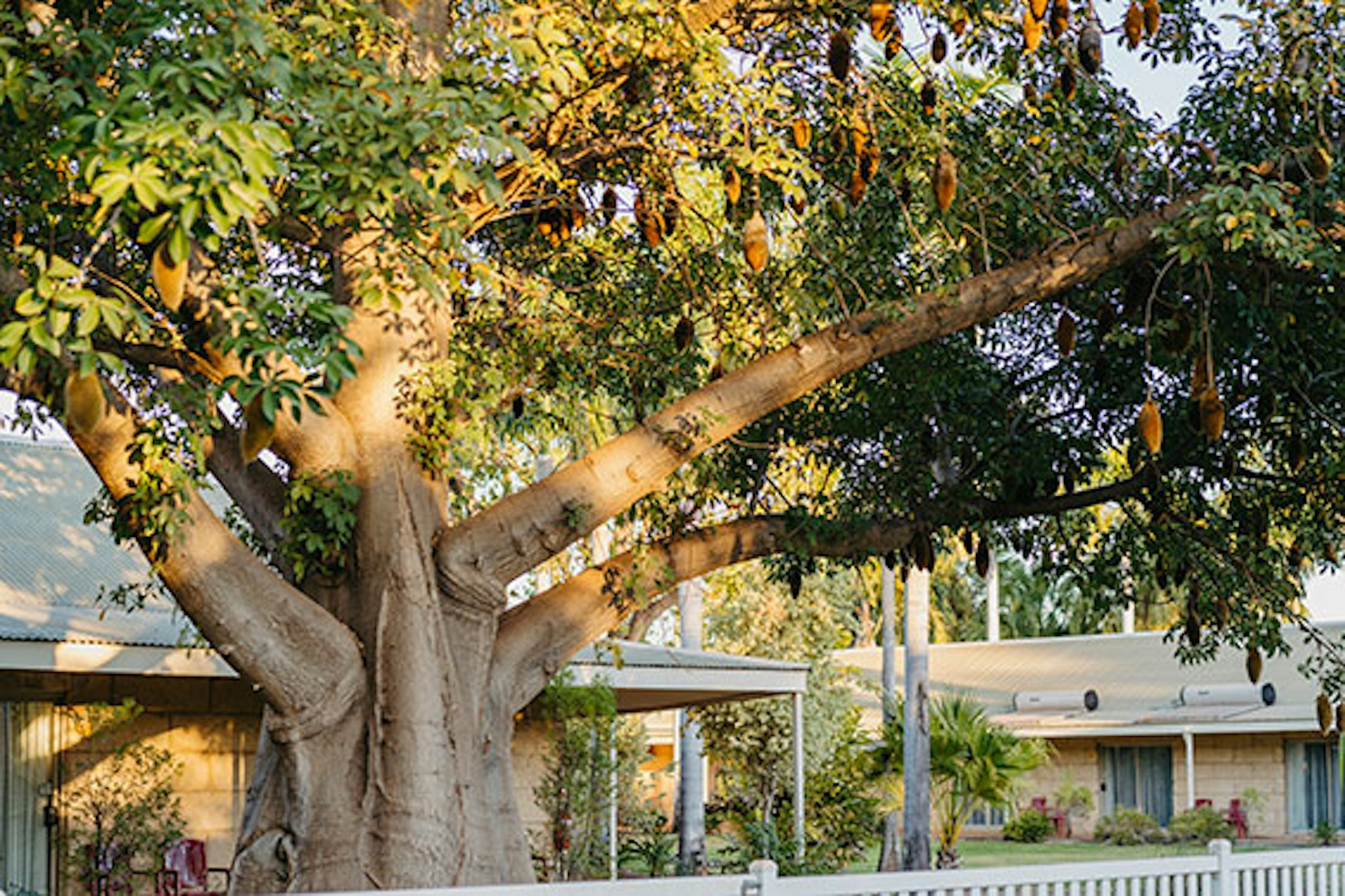 The Kimberley Grande Resort 36/39