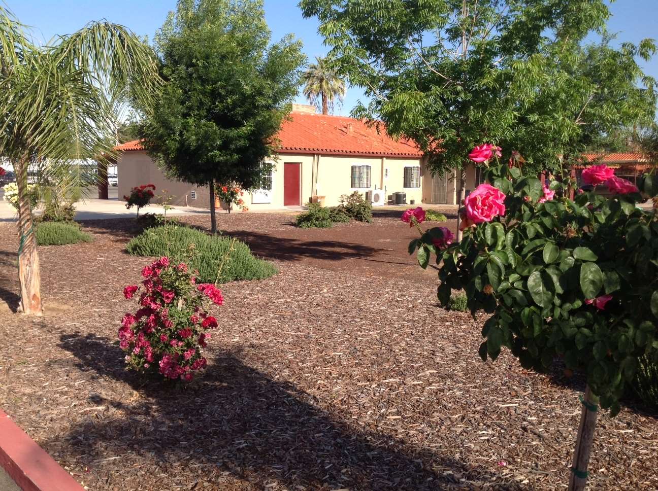 Americas Best Value Inn Porterville 5/7