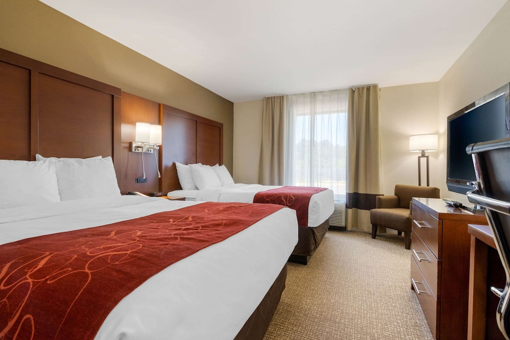 STANDARD, 2 QUEEN BEDS