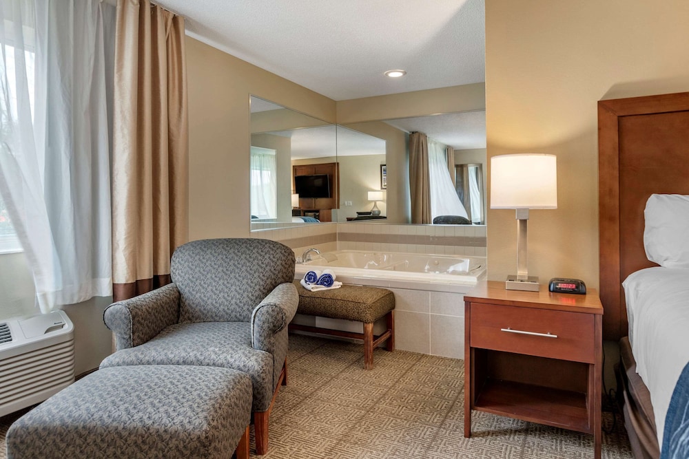 Comfort Inn Suites Dimondale Lansing 28/35