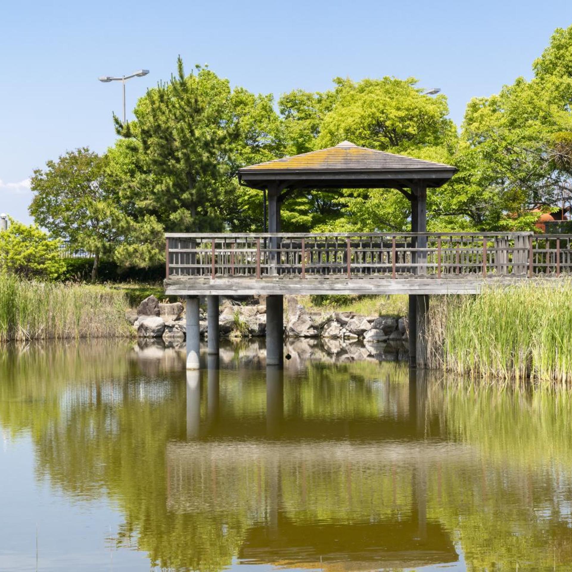 Hamakogetsu 40/41