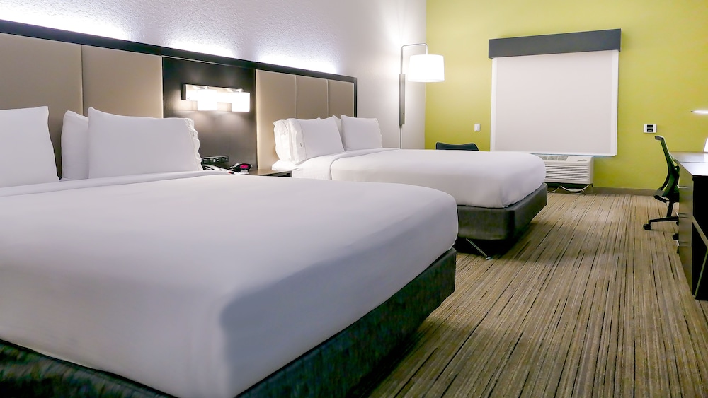 Holiday Inn Express and Suites St. Petersburg North (I-275), an IHG Hotel 18/58