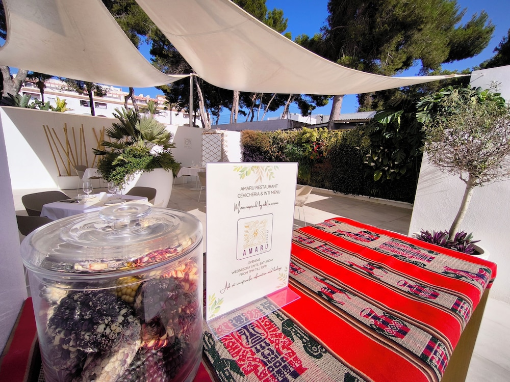 Hotel Anfora Ibiza 7/50