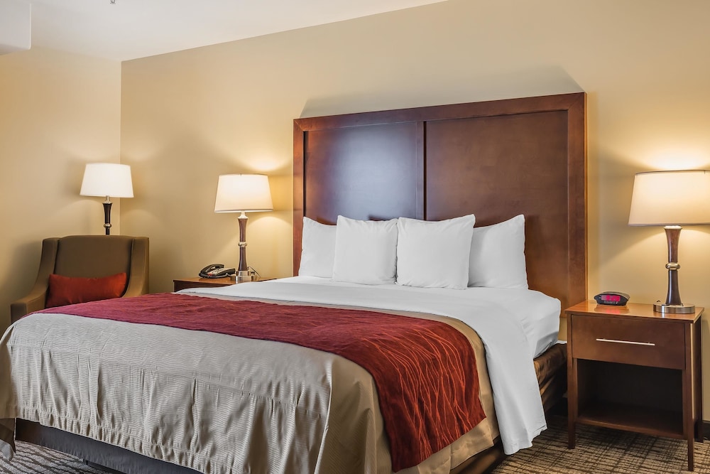 Comfort Inn Pomona near Fairplex 19/46