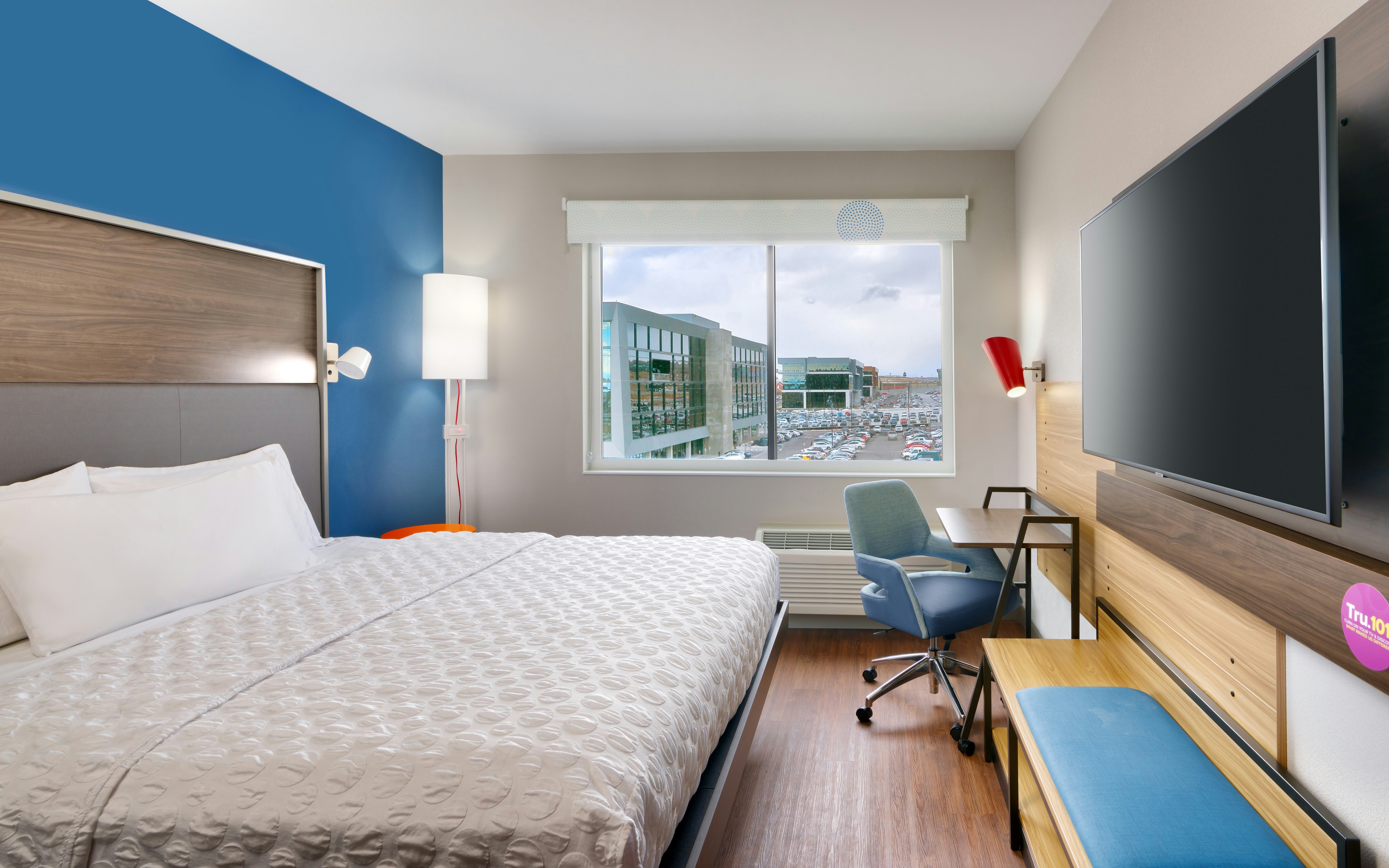 Room, King Bed