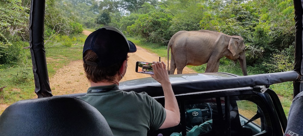 Mahoora Tented Safari Camp - Yala 17/50