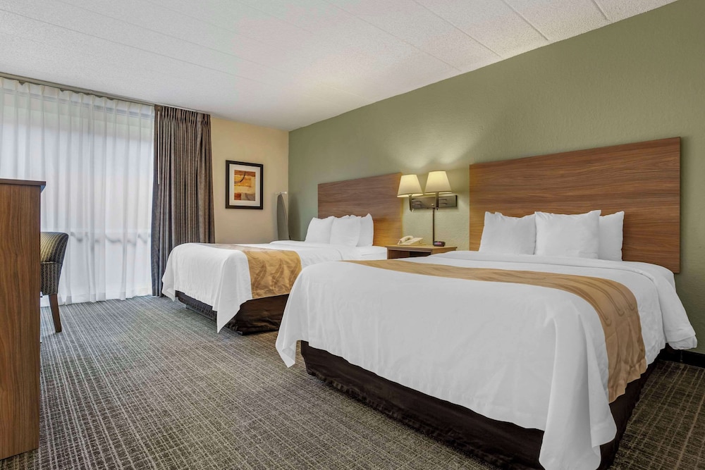 Quality Inn & Suites NRG Park - Medical Center 26/61
