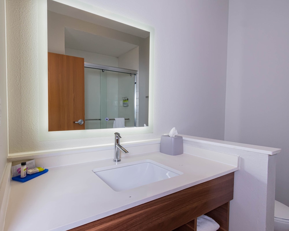 Holiday Inn Express & Suites Houston North I-45 Spring, an IHG Hotel 31/50
