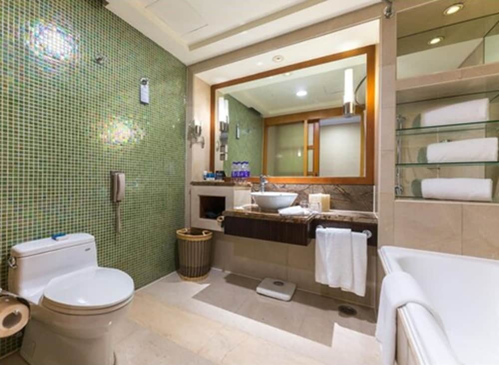 PARK PLAZA BEIJING WANGFUJING 5/69