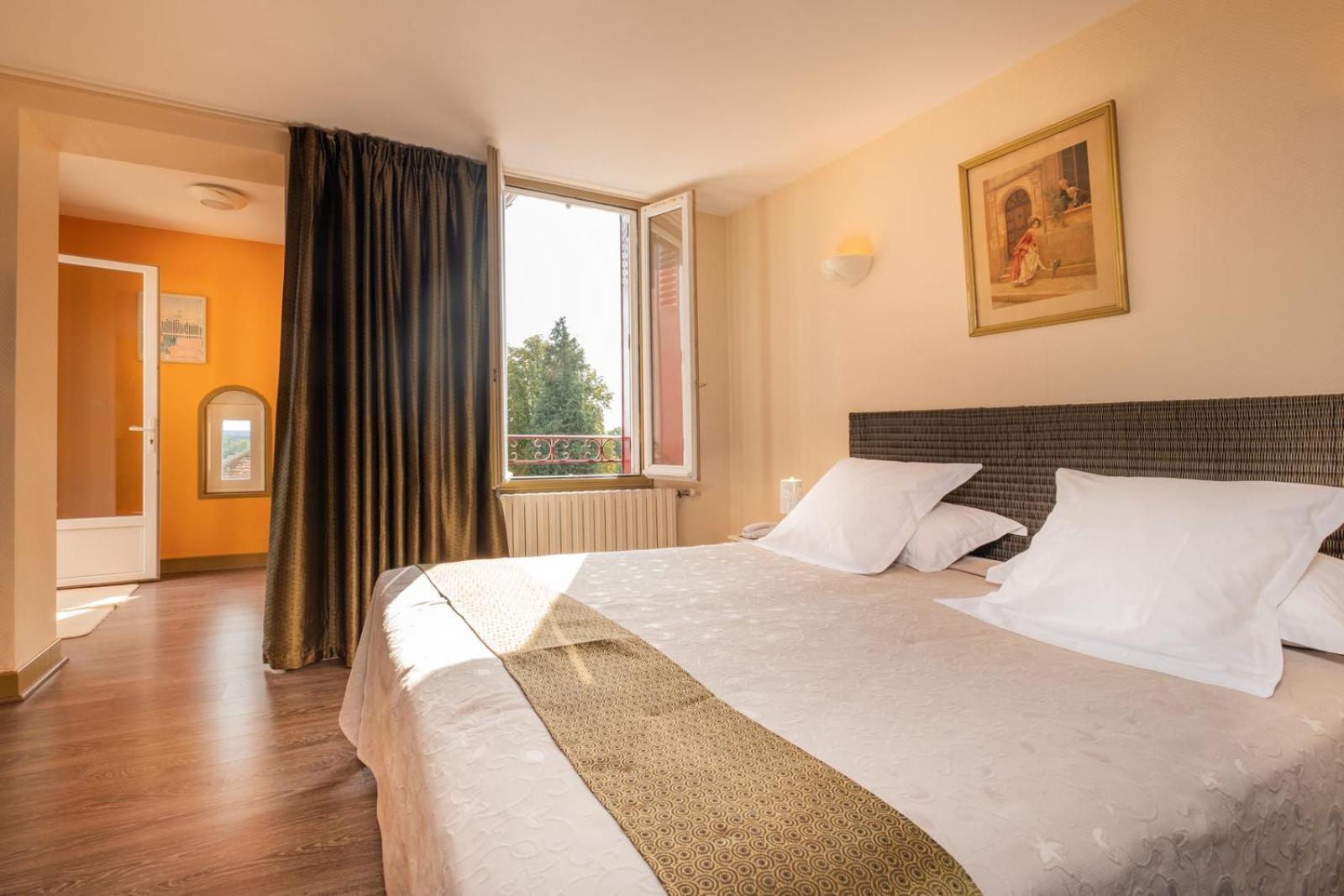 HOTEL LE COQ HARDI 8/51