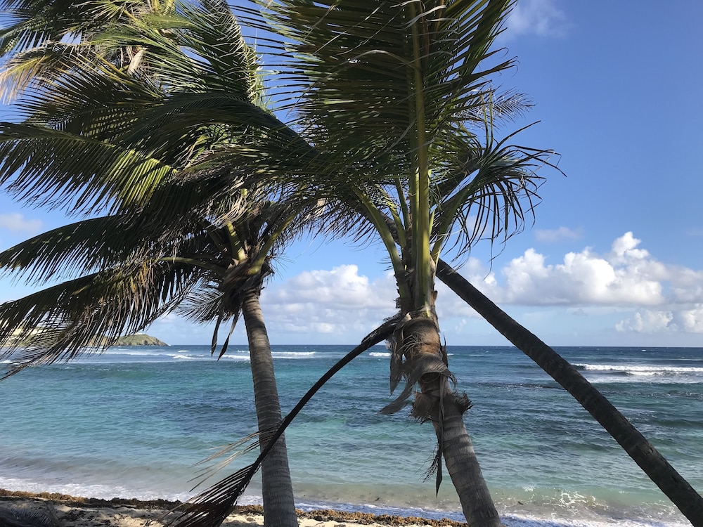 THE PALMS AT PELICAN COVE 27/66