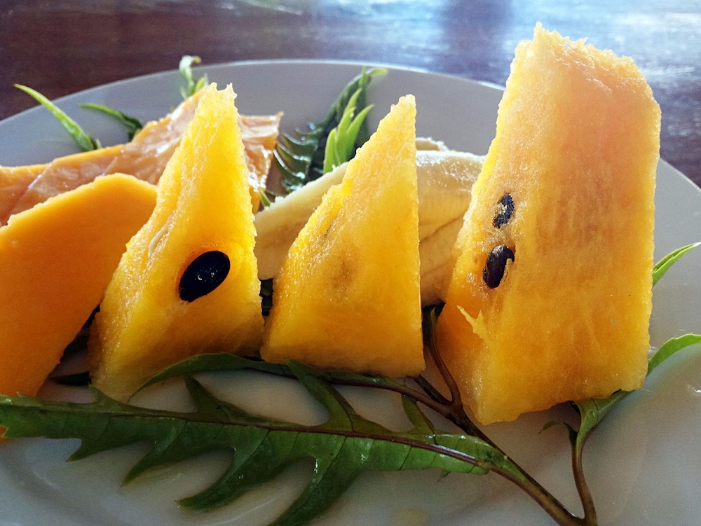 Tanna Evergreen Resort & Tours 22/50