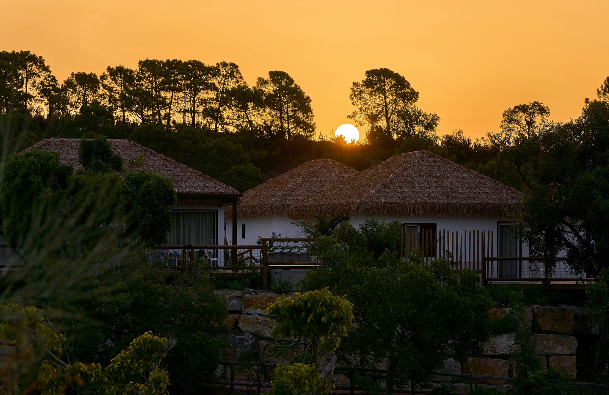 Hotel Selwo Lodge 38/50