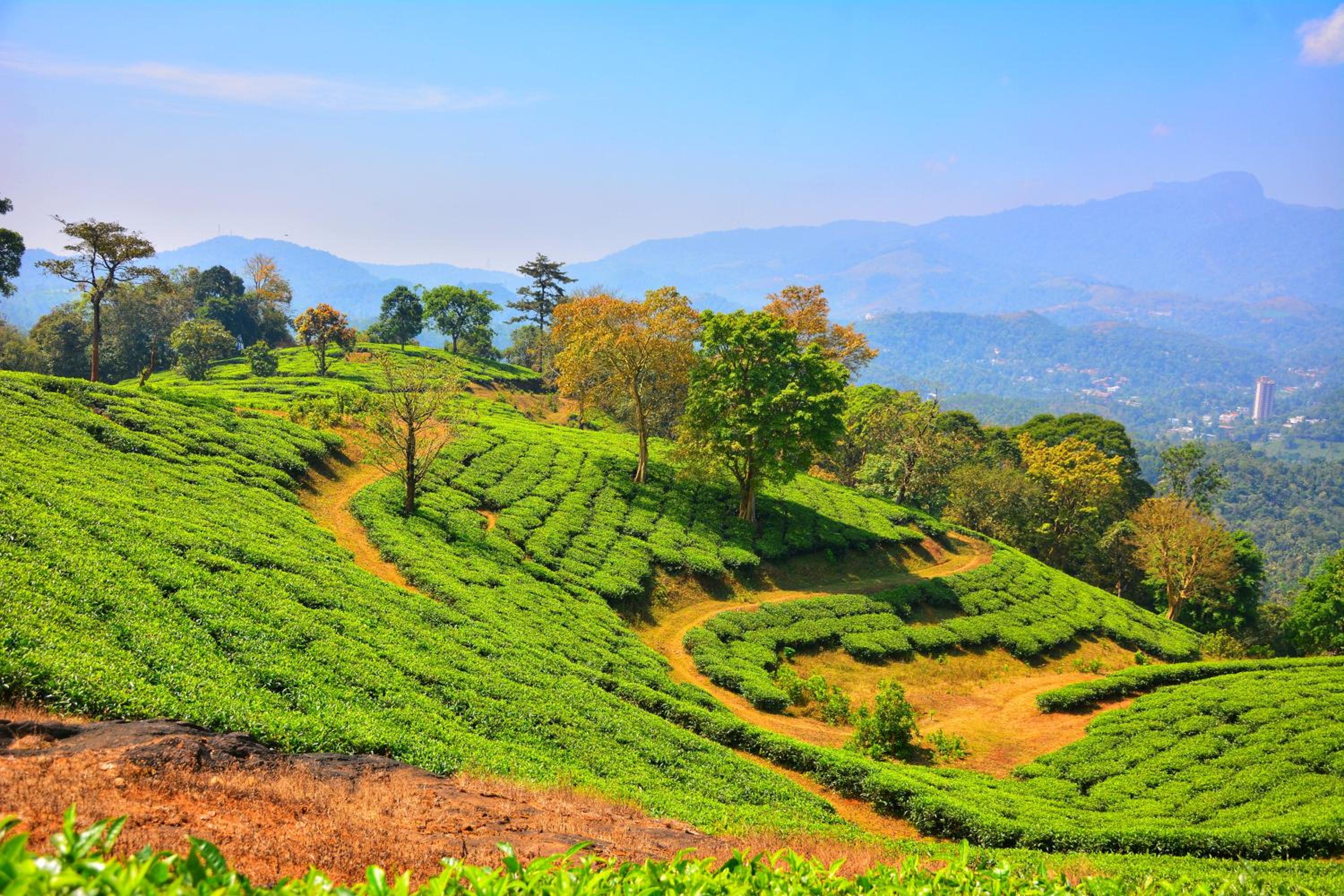 Annapara Home Stay 28/41