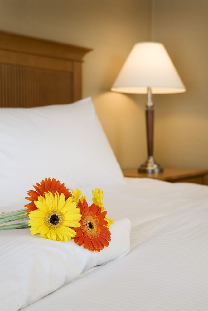Coast Capri Hotel 27/61