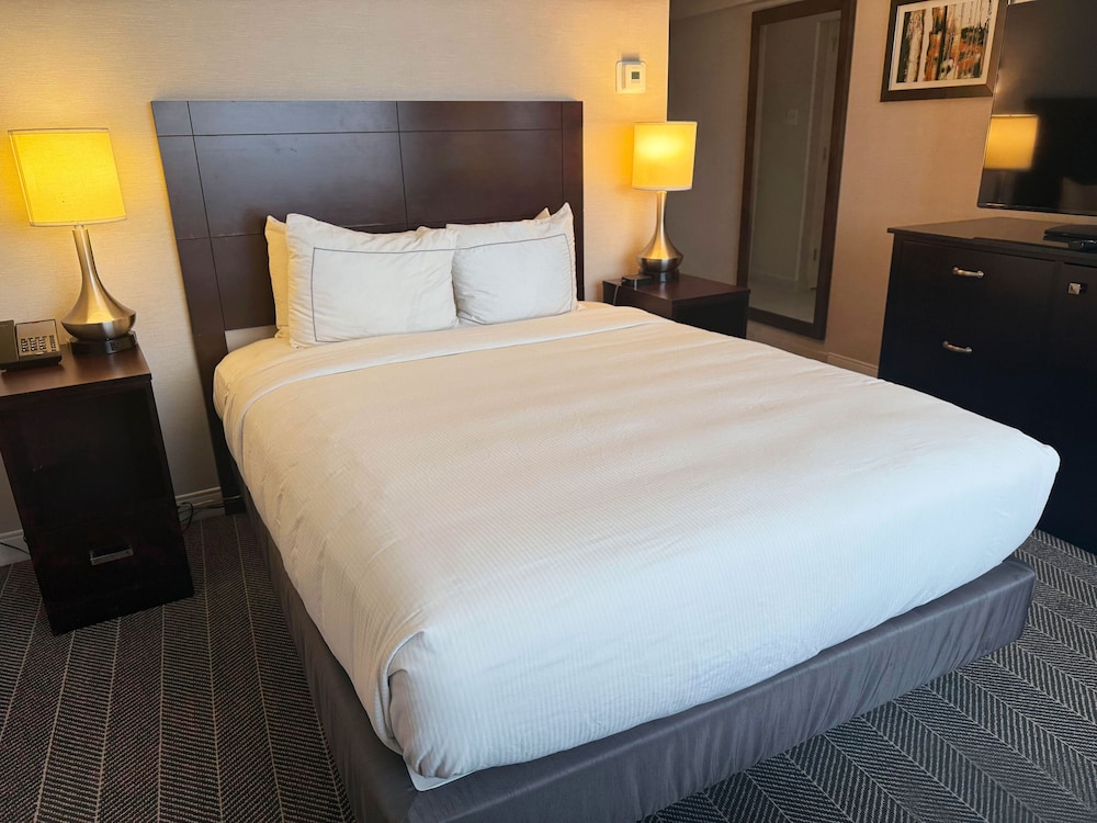 The Brookhaven Atlanta Hotel 22/52