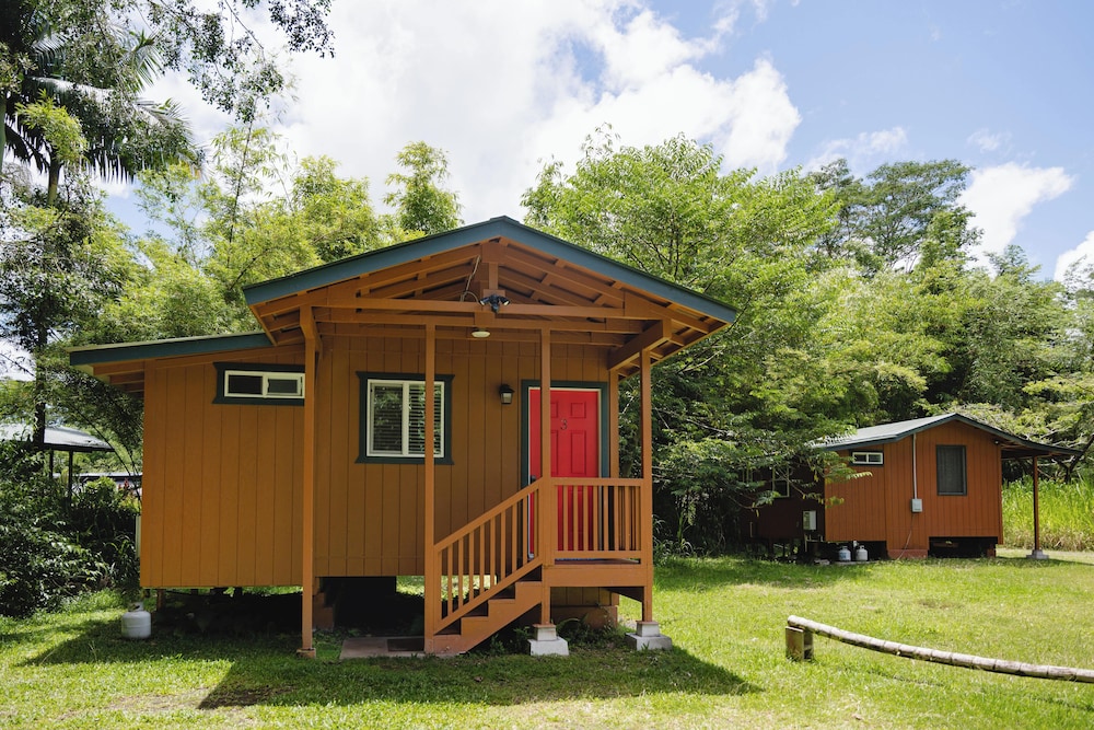 Hawaiian Sanctuary 3/50