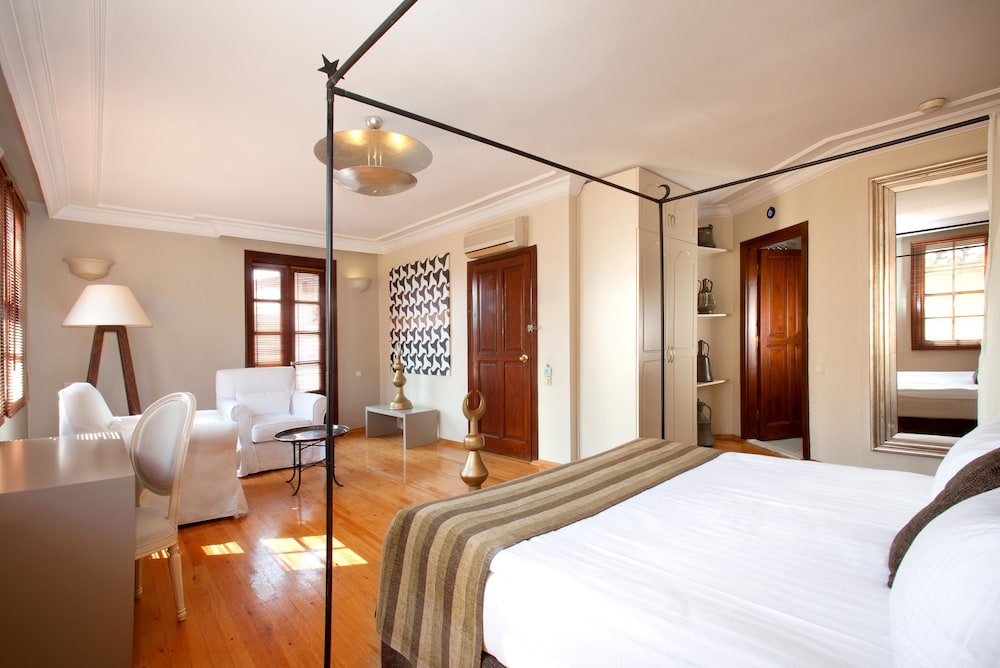 Alp Pasa Hotel 14/46
