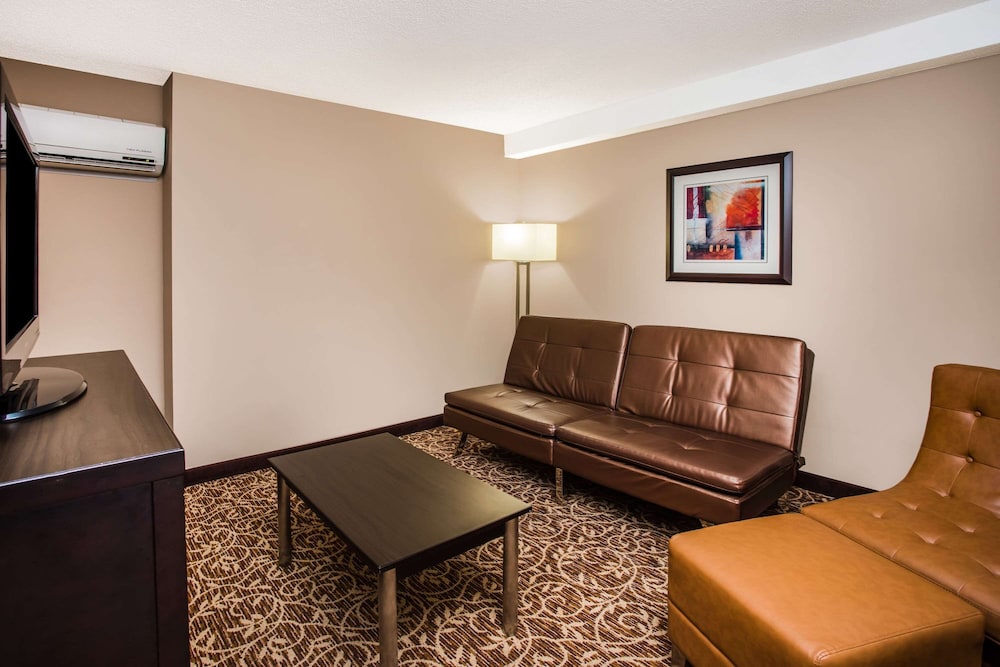 Wingate by Wyndham Atlanta Galleria Ballpark 36/50