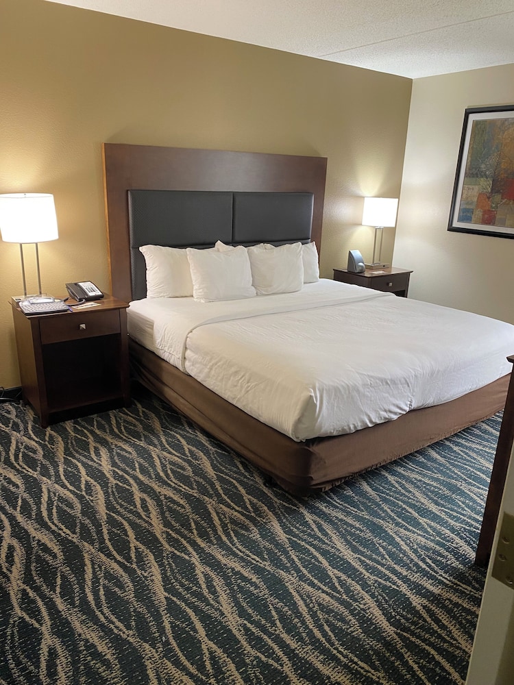 Comfort Inn Suites Newark Wilmington 20/65