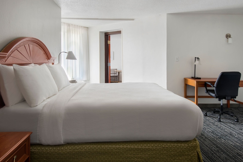 1 Bedroom, Suite, King Bed, Sofa, TownePlace Suites by Marriott Wilmington Newark/Christiana 2/4
