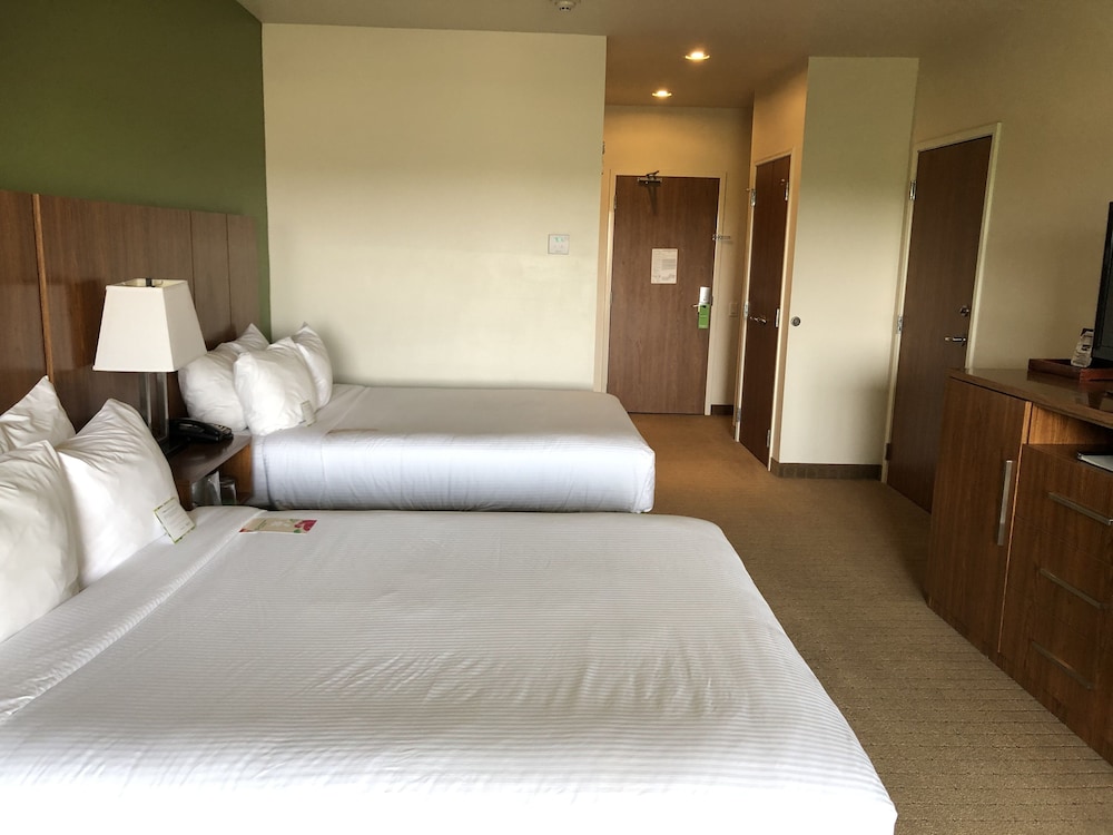 Sol Cypress, San Antonio, A Tribute Portfolio Hotel 6/41