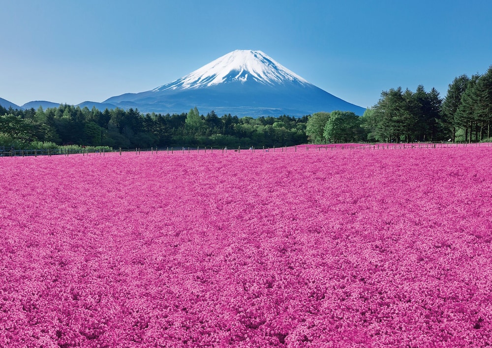 Fuji Gran Villa - Toki - 27/50