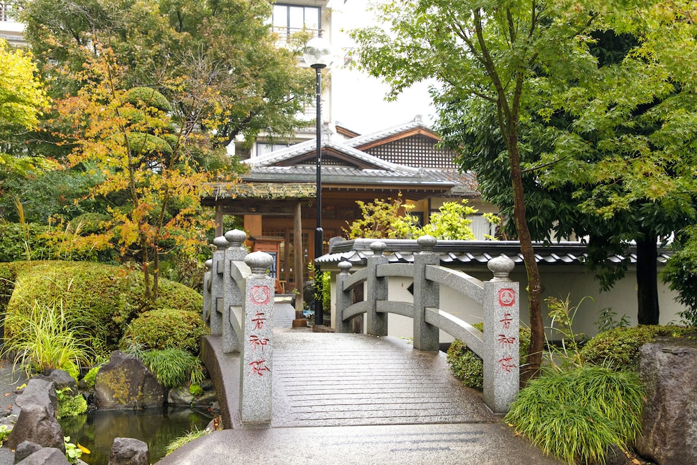 Wakamiro 48/50